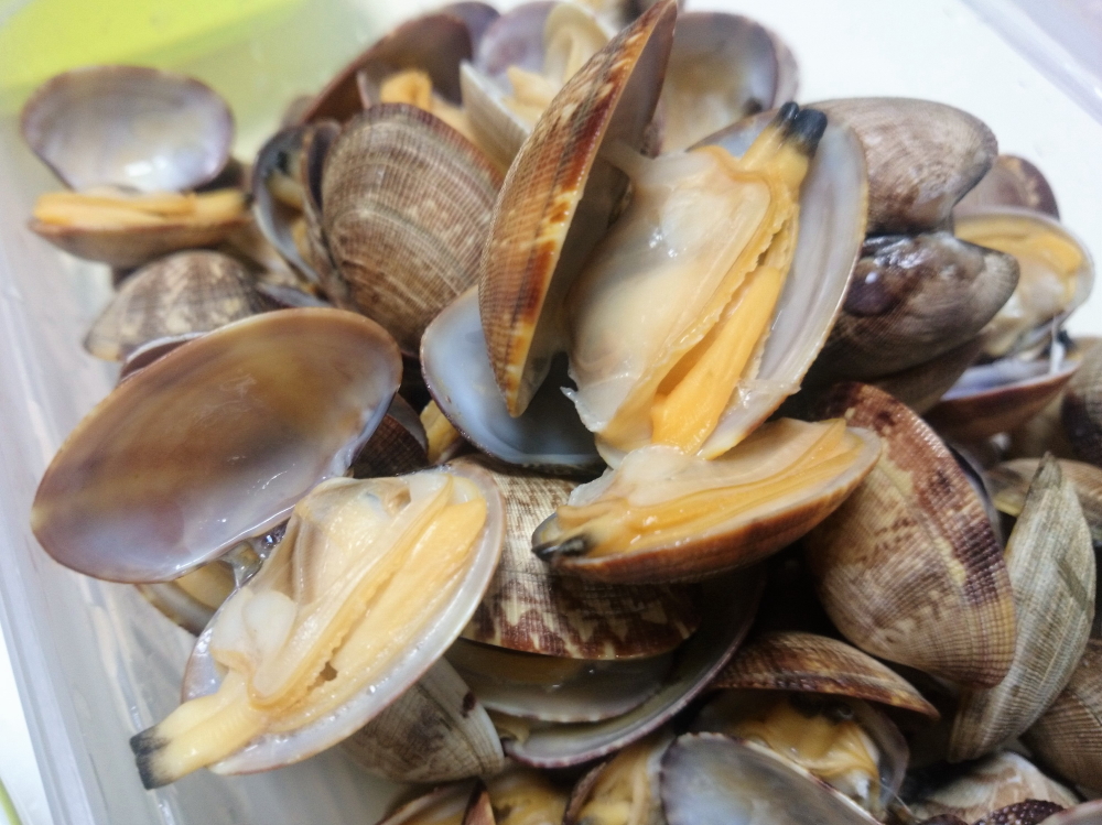 広島の アサリの母 直伝 アサリの砂抜き方法とおいしい食べ方 たべぷろ