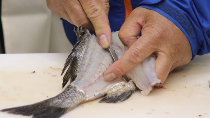 漁師さん直伝の魚のさばき方 三枚おろしはテーブルナイフで簡単に たべぷろ