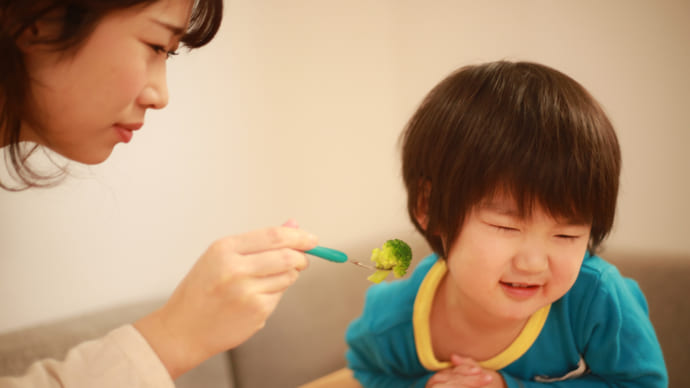 【2歳児】食べムラが多い反抗期！ごはんを食べない10の理由と解消法
