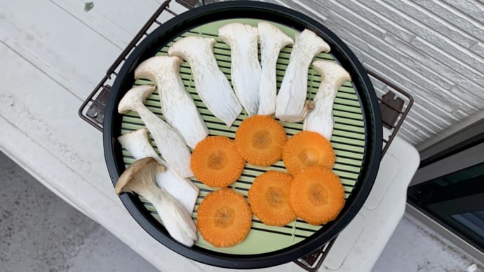 自宅で干し野菜を作ろう！働くママが15分で夜ごはんを作るための野菜の保存方法